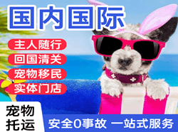 广州航空托运国际宠物托运 【国